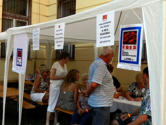 Múzeumok Éjszakája 2017 16